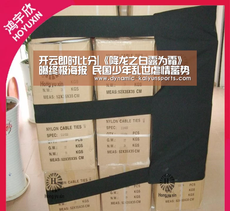 开云体育官网