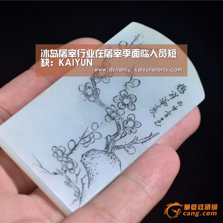 开云体育官网