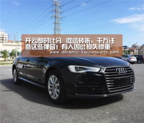 开云体育官网