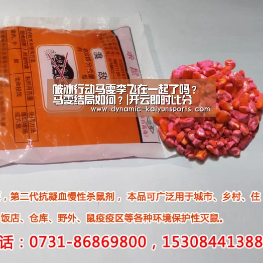 破冰行动马雯李飞在一起了吗？马雯结局如何？|开云即时比分(图3)