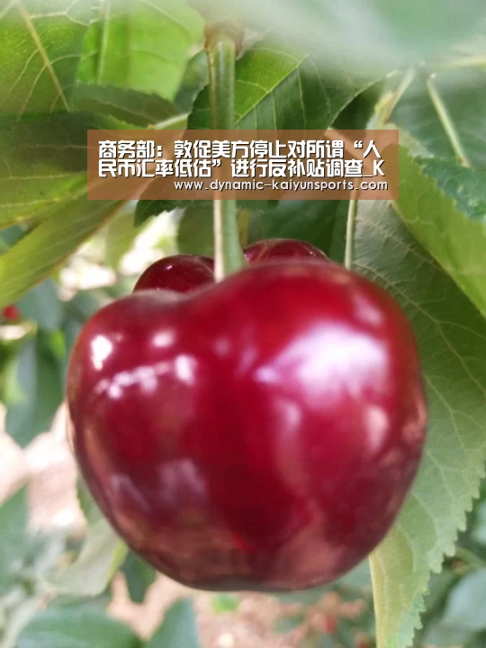 商务部：敦促美方停止对所谓“人民币汇率低估”进行反补贴调查_KAIYUN(图2)