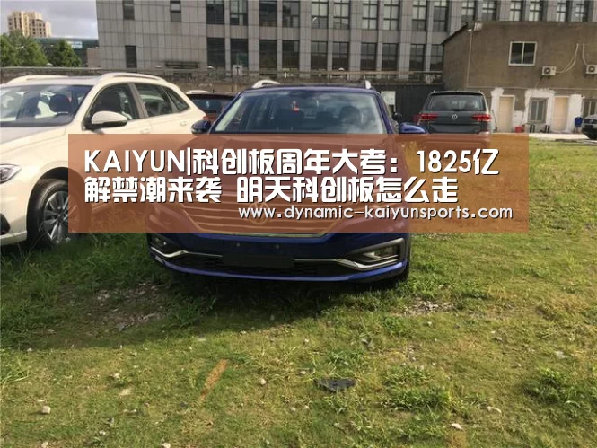 KAIYUN|科创板周年大考:1825亿解禁潮来袭 明天科创板怎么走(图2) KAIYUN|科创板周年大考:1825亿解禁潮来袭 明天科创板怎么走(图2)