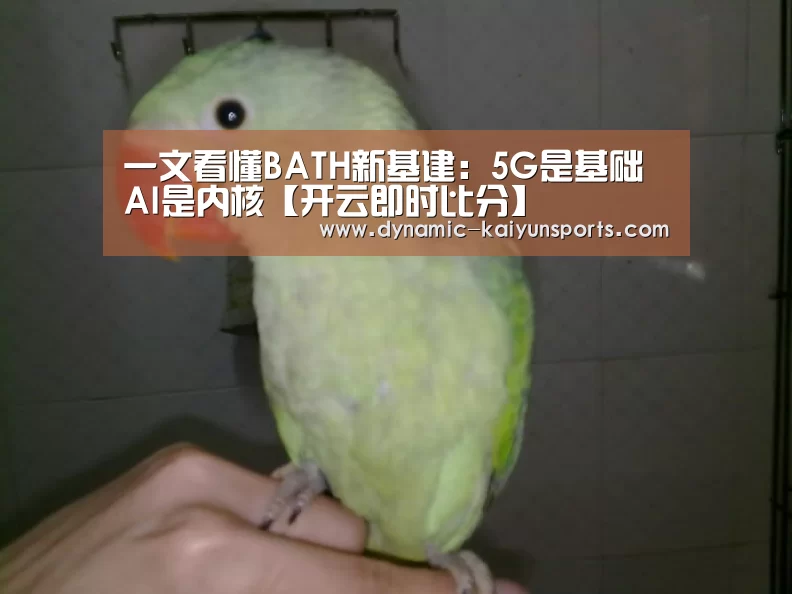 开云体育官网