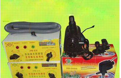 开云即时比分
