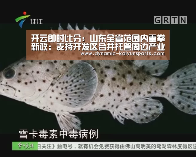 开云官网