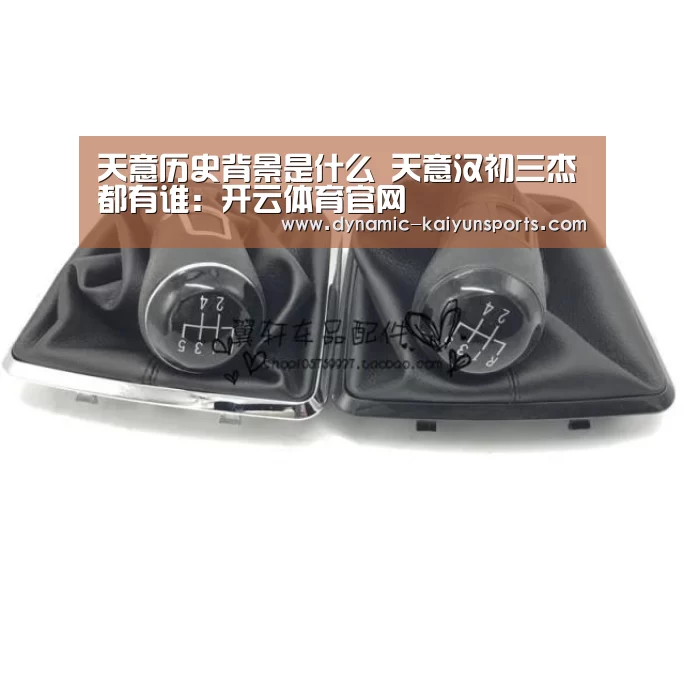 开云即时比分